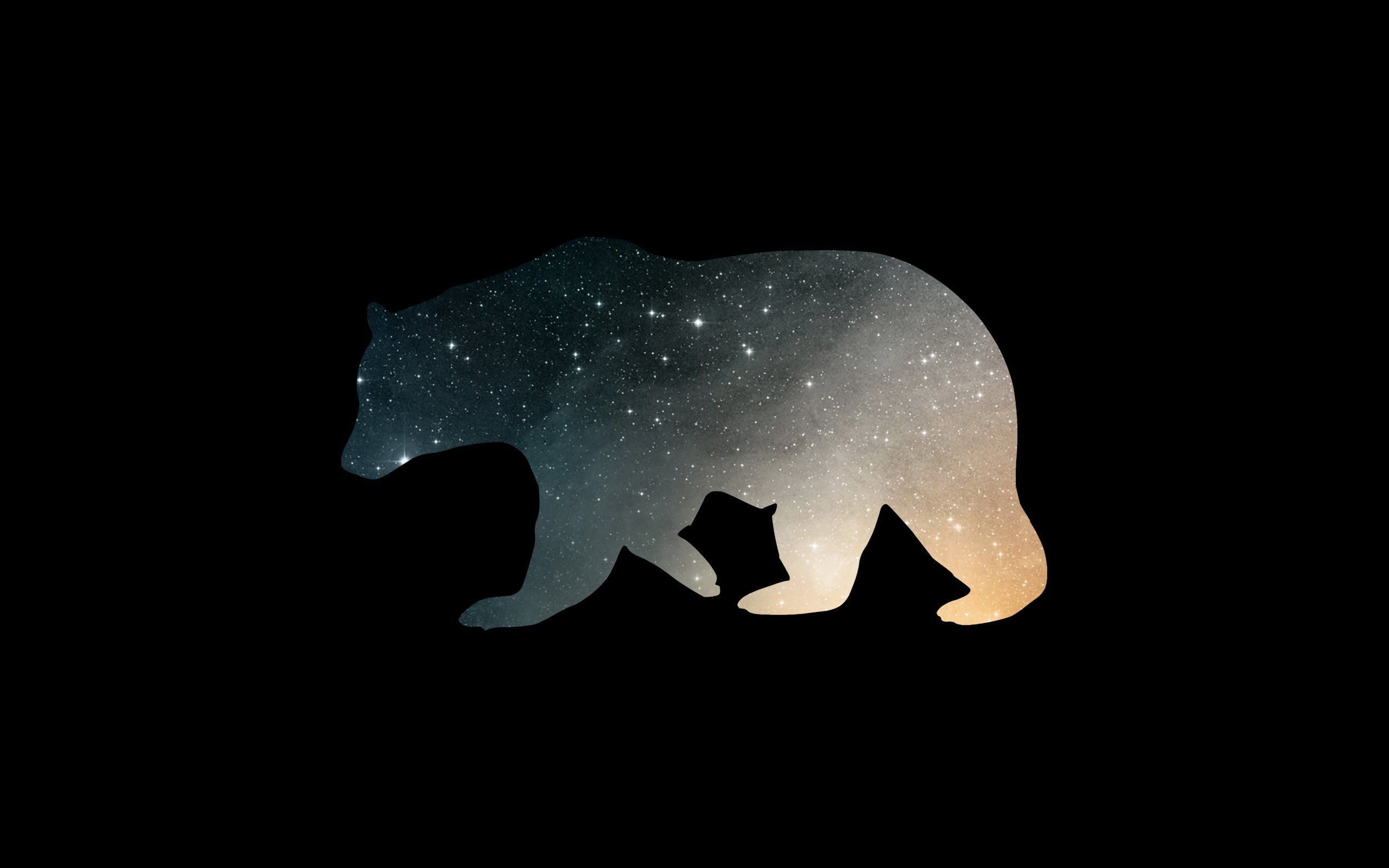 2560x1600 Cool Bear Wallpaper Free Cool Bear Background, Desktop