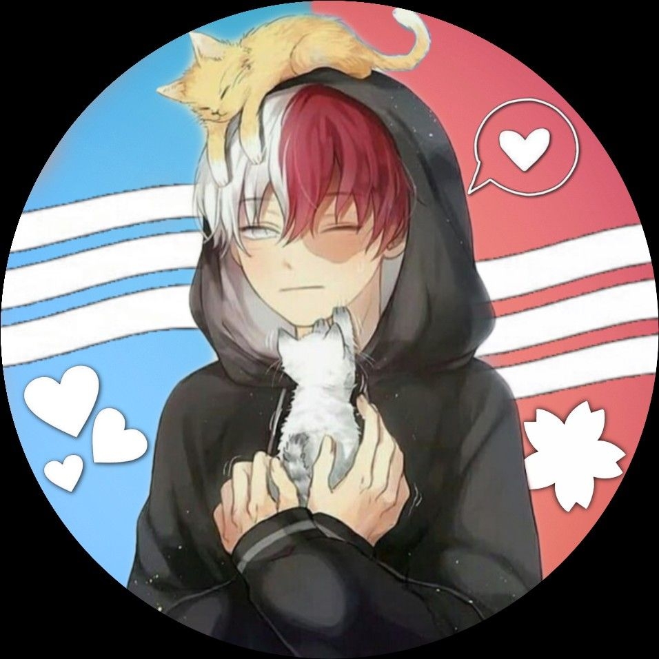 960x960 bnha #mha #my #hero #academia #todoroki #cute #cats #todoroki #shouto. Cute anime guys, Cute anime wallpaper, My hero academia shouto, Phone