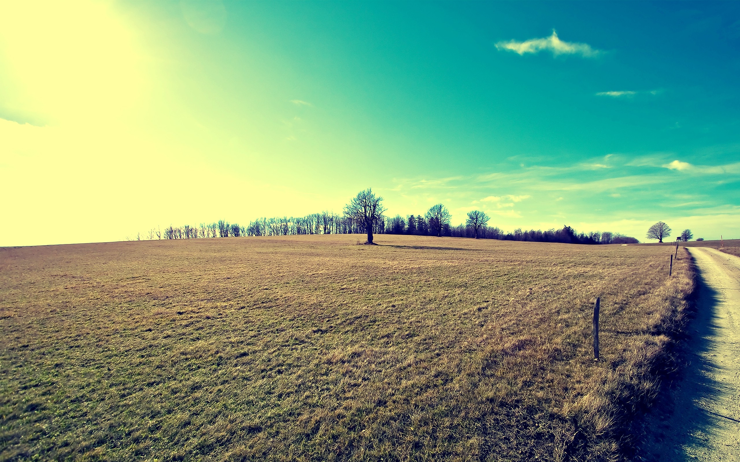 2560x1600 nature, Field, Landscape, Filter, Trees, Bright Wallpaper, Desktop