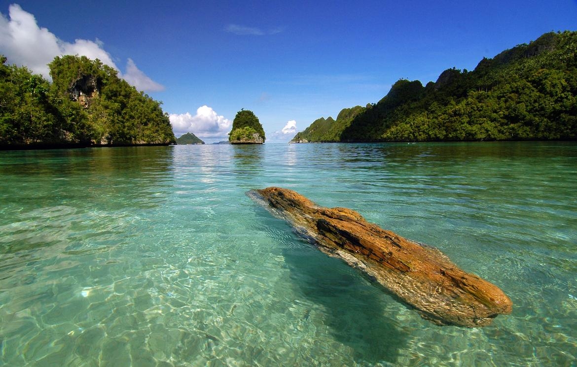 1170x750 Raja Ampat Indonesia Beach HD Wallpaper, Desktop