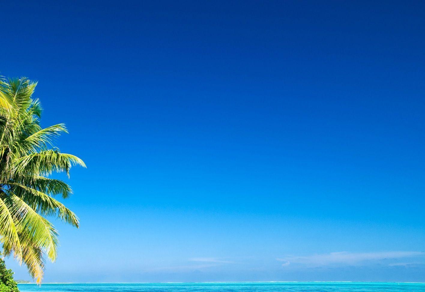 1420x980 Tropical Ocean Wallpaper Backdrop2 « Hawaii Retail Services, Desktop
