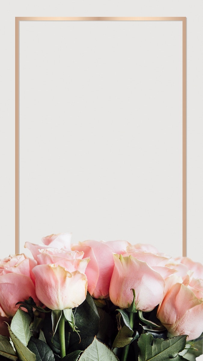 680x1200 Frame with light pink roses, Phone