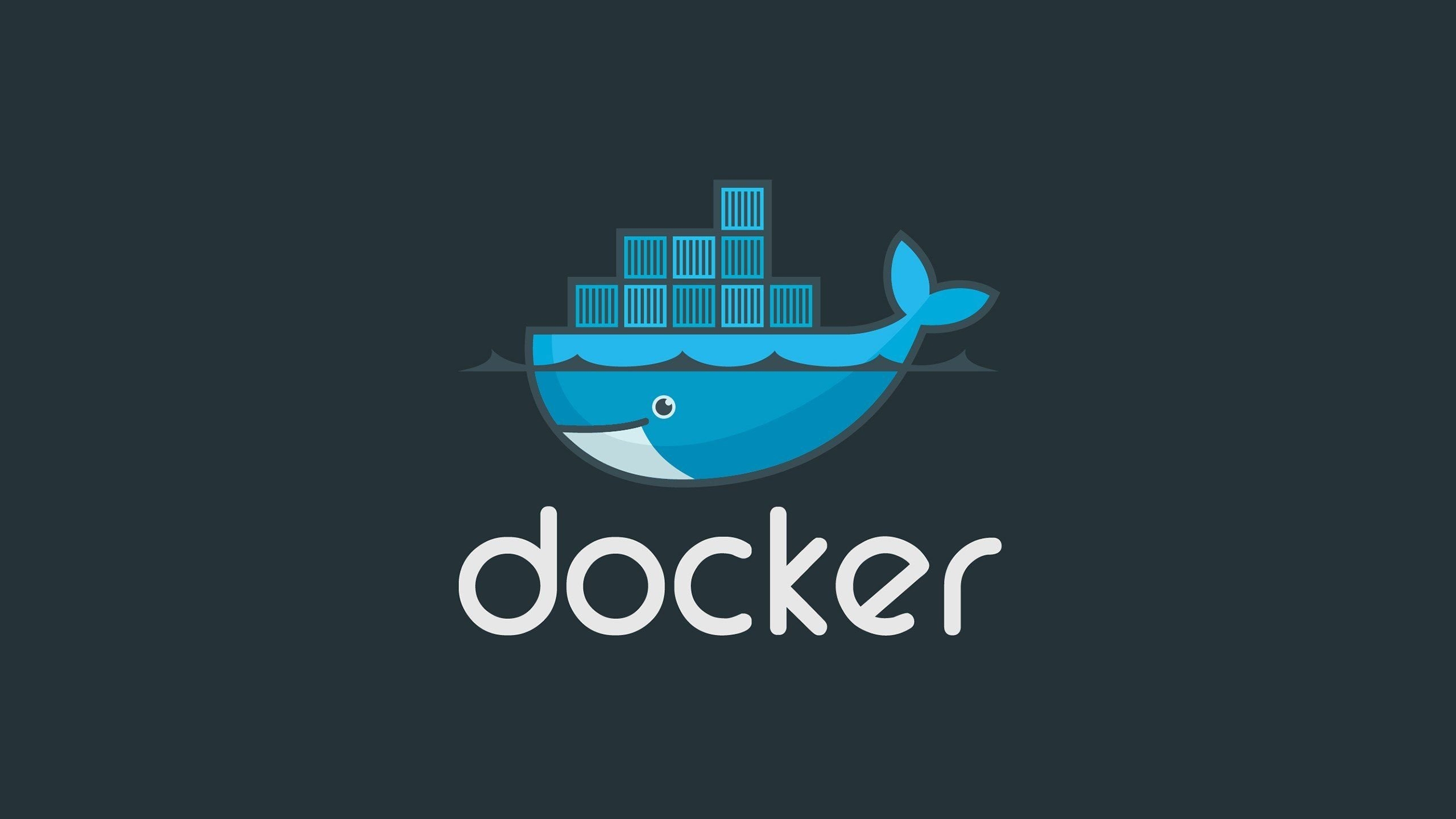 2560x1440 docker, Containers HD Wallpaper / Desktop and Mobile Image & Photo, Desktop