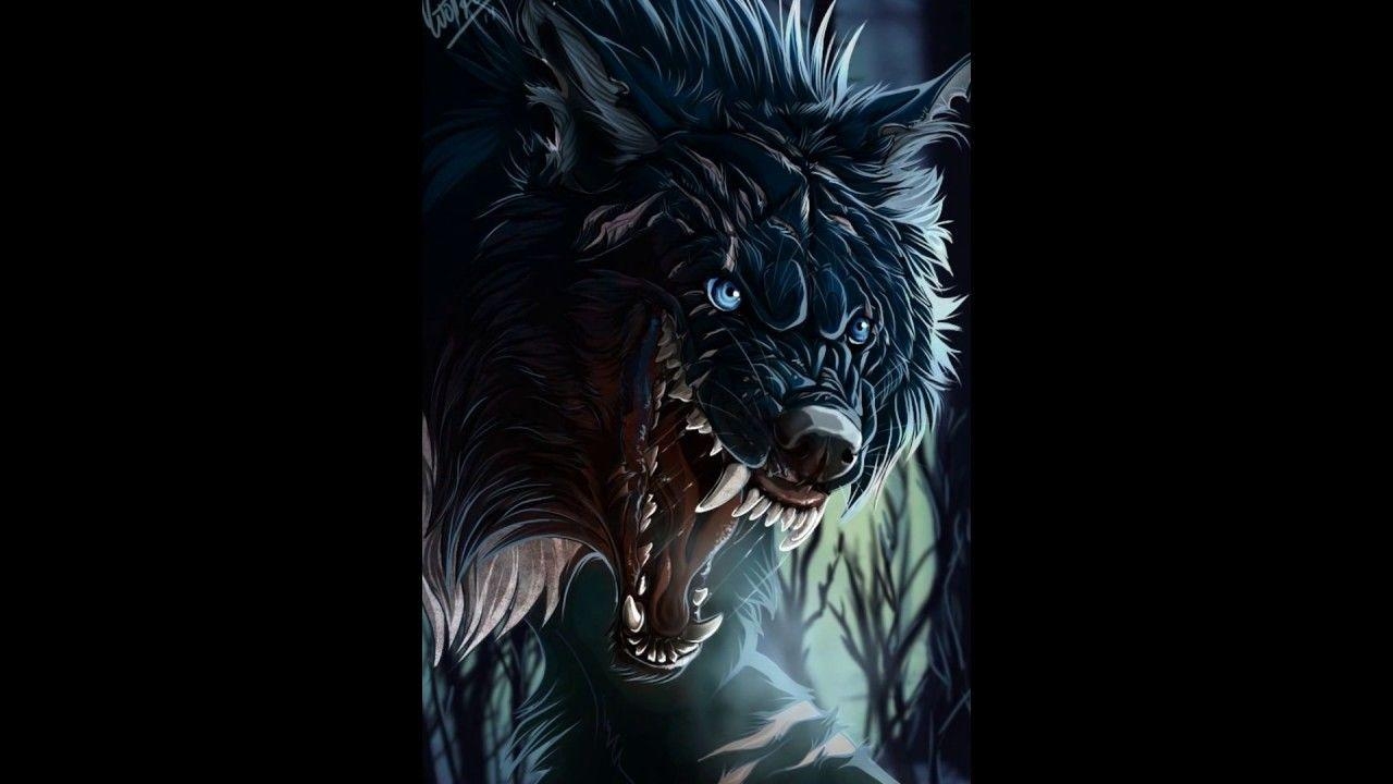 1280x720 Wolf Wallpaper 25 X 720, Desktop