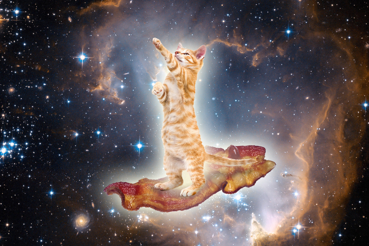 1280x860 Galaxy Cat Background, Desktop