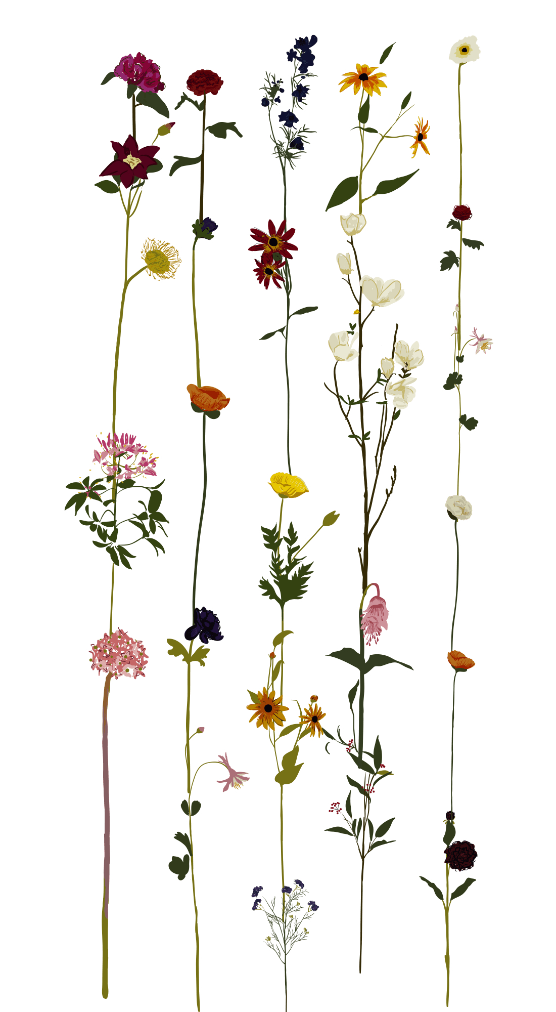 1100x2000 Minimalist Floral Wallpaper, HD Minimalist Floral Background on WallpaperBat, Phone