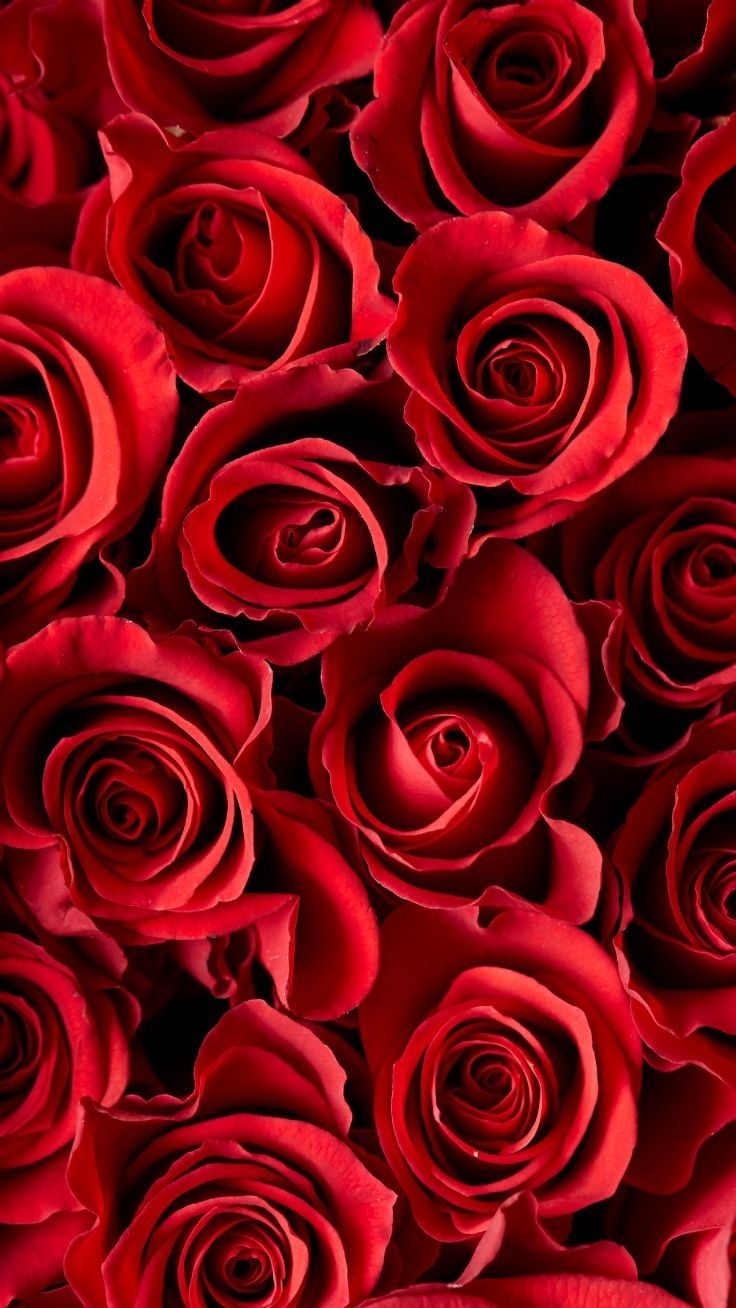 740x1310 Gorgeous Floral iPhone Xs Wallpaper. Preppy Wallpaper. Red roses wallpaper, Flower phone wallpaper, Red flower wallpaper, Phone