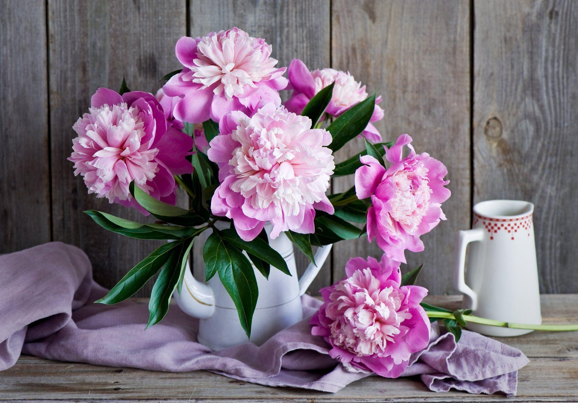 2000x1400 Peonies bouquet wallpaperx1394, Desktop