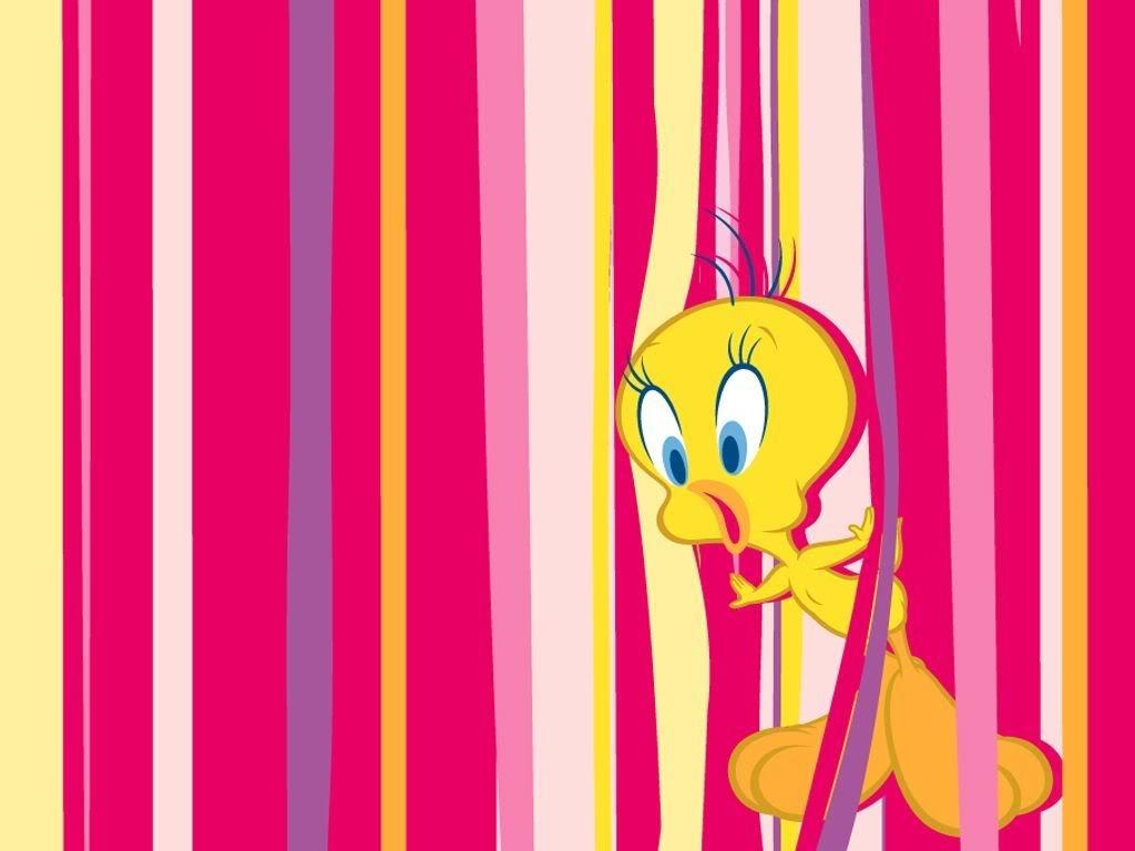 1030x770 Tweety Bird Wallpaper Computer, Desktop