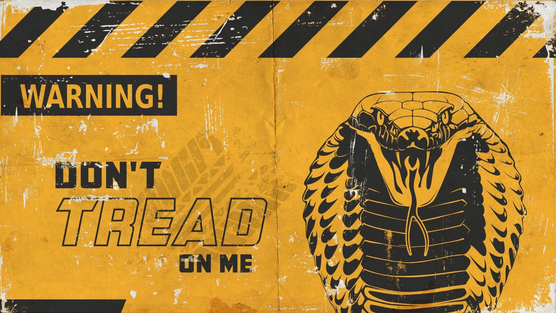 1920x1080 undefined Don't Tread On Me Wallpaper (32 Wallpaper). Adorable, Desktop