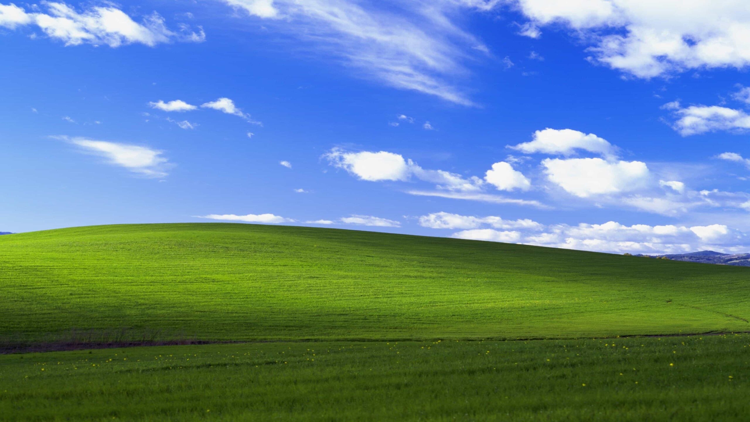 2560x1440 Windows XP Wallpaper, Desktop