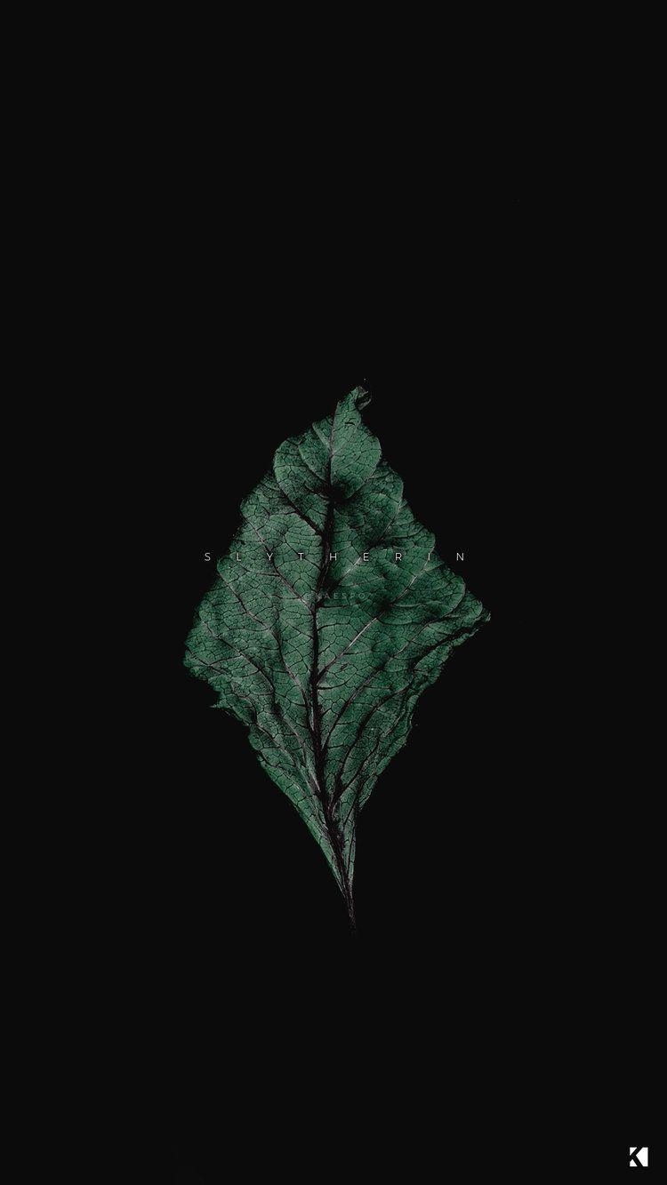 750x1340 Dark Green Aesthetic Wallpaper Free Dark Green Aesthetic Background, Phone