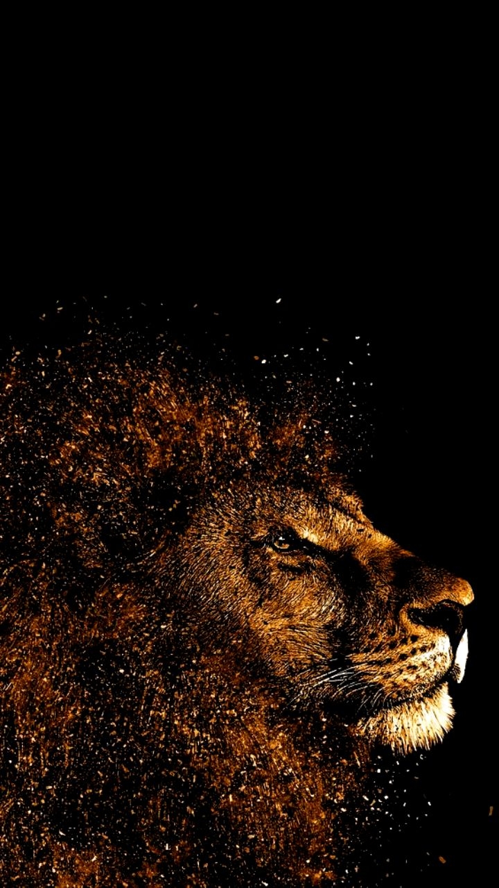 720x1280 Phone background for men #iphonewallpaper #beautiful background. Phone wallpaper for men, Lion wallpaper, Background phone wallpaper, Phone