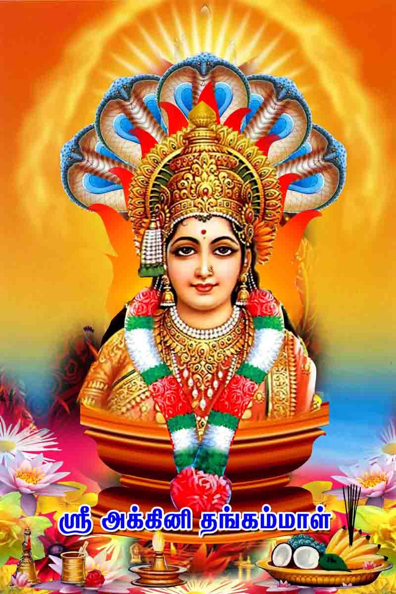 800x1200 Lord Amman God Amman Precious Photo, Phone