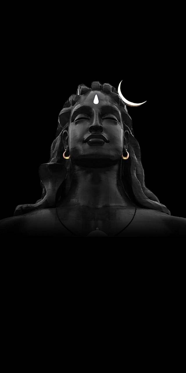 640x1280 Adhiyogi wallpaper, Phone