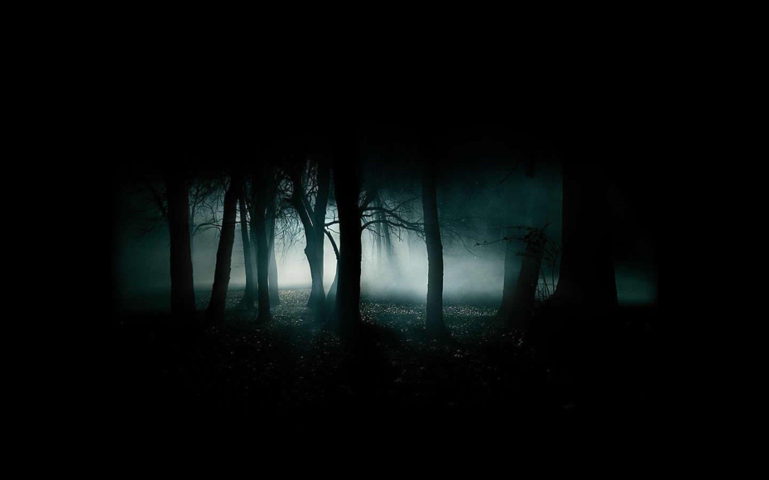 2560x1600 Wallpaper Dark Nature HD Jootix PX Wallpaper Dark HD, Desktop