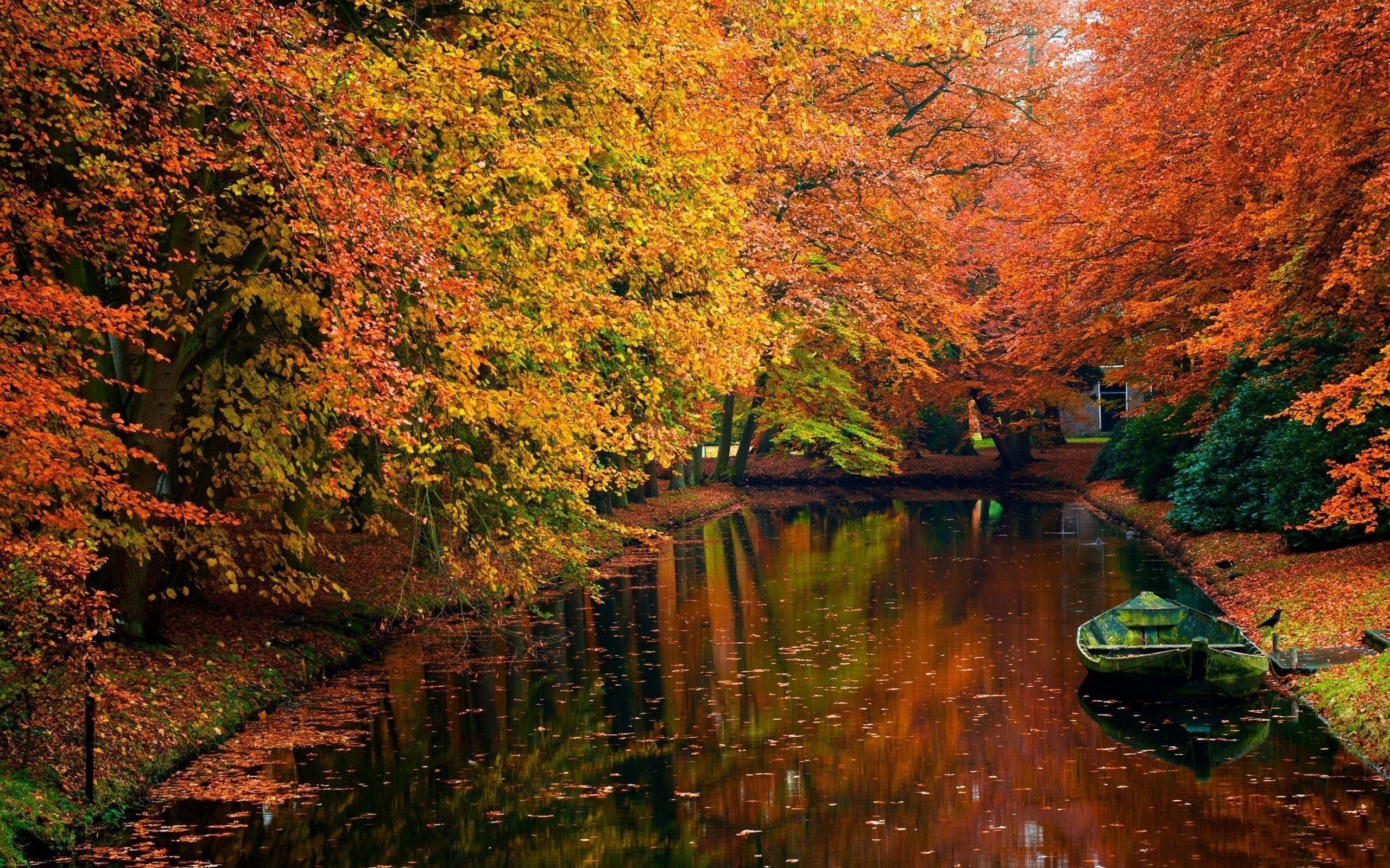 2560x1600 Autumn MacBook Wallpaper Free Autumn MacBook Background, Desktop