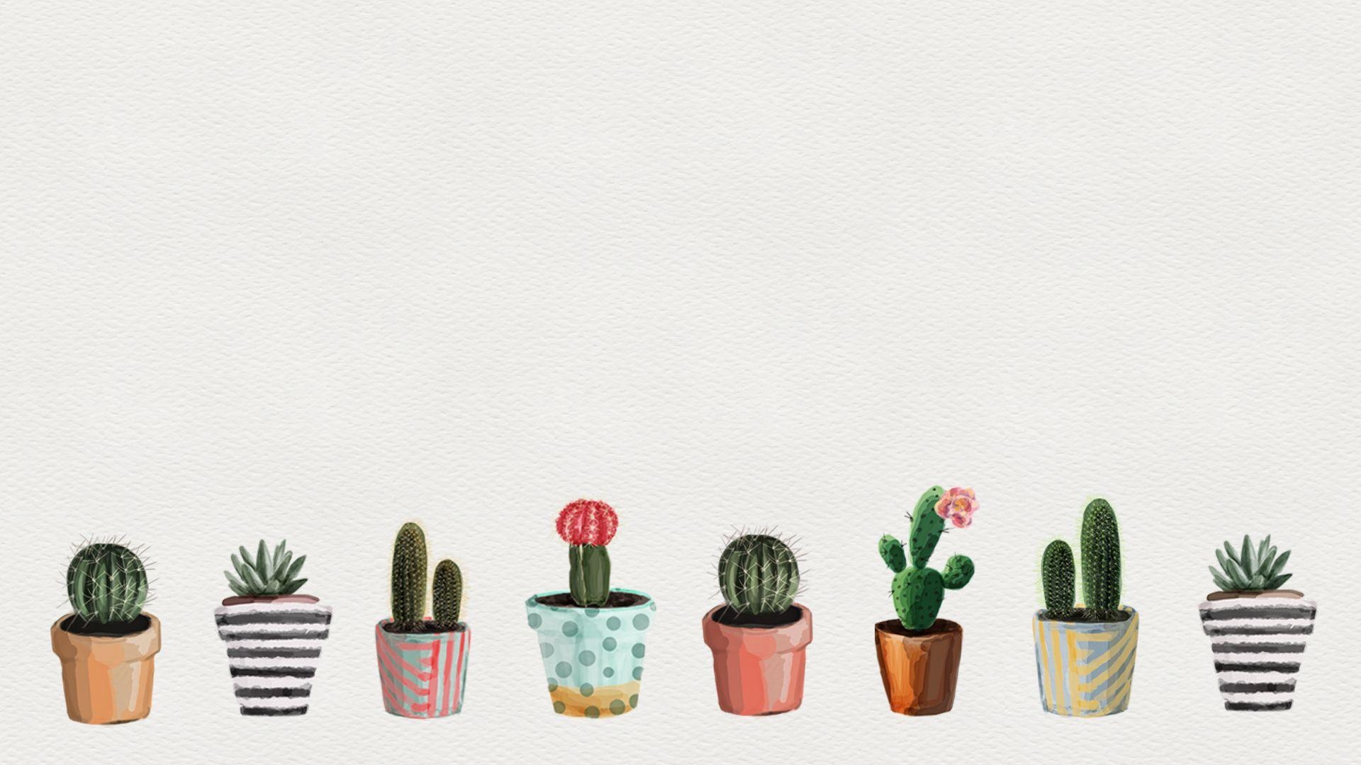 1920x1080 Free digital wallpaper and wall art: Cacti love [es.kaa.] makes, Desktop