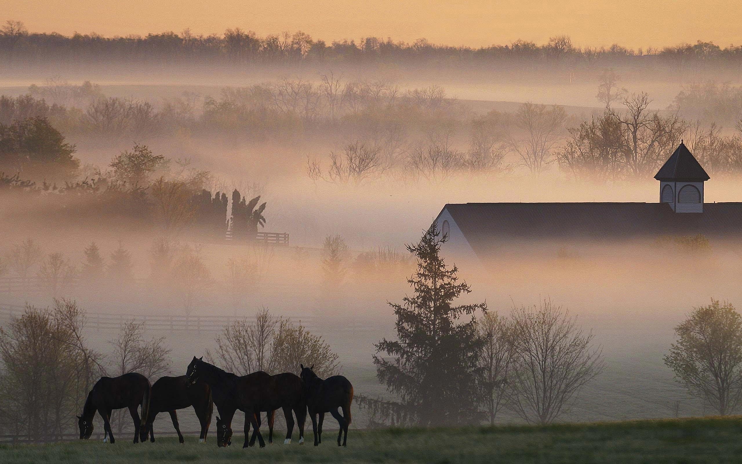 2560x1600 Kentucky Wallpaper, Desktop