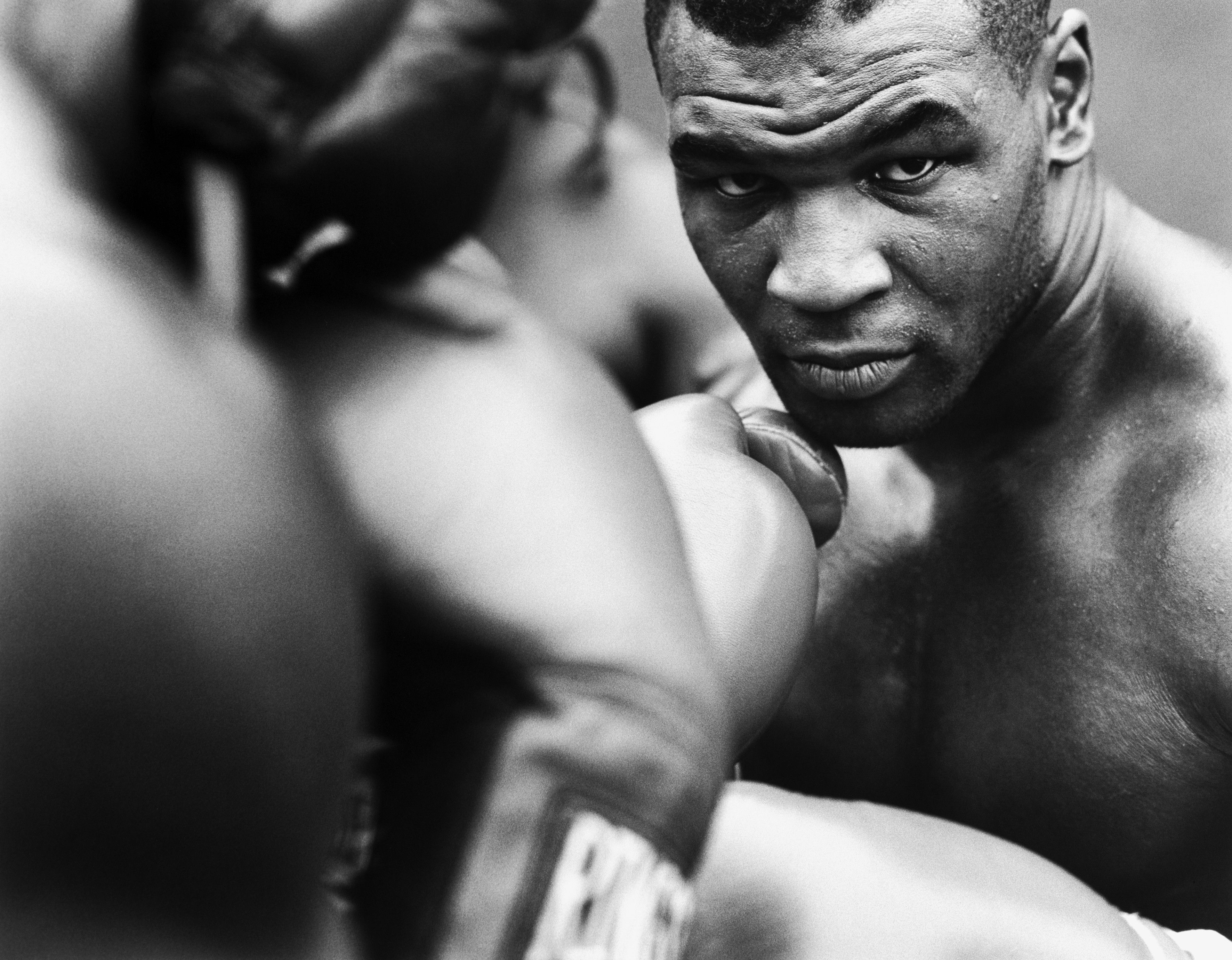 3550x2760 Download Wallpaper, Download  black and white gloves stare boxing mike tyson knockout People HD Wallpaper, Hi Res People Wallpaper, High Definition Wallpaper, Desktop