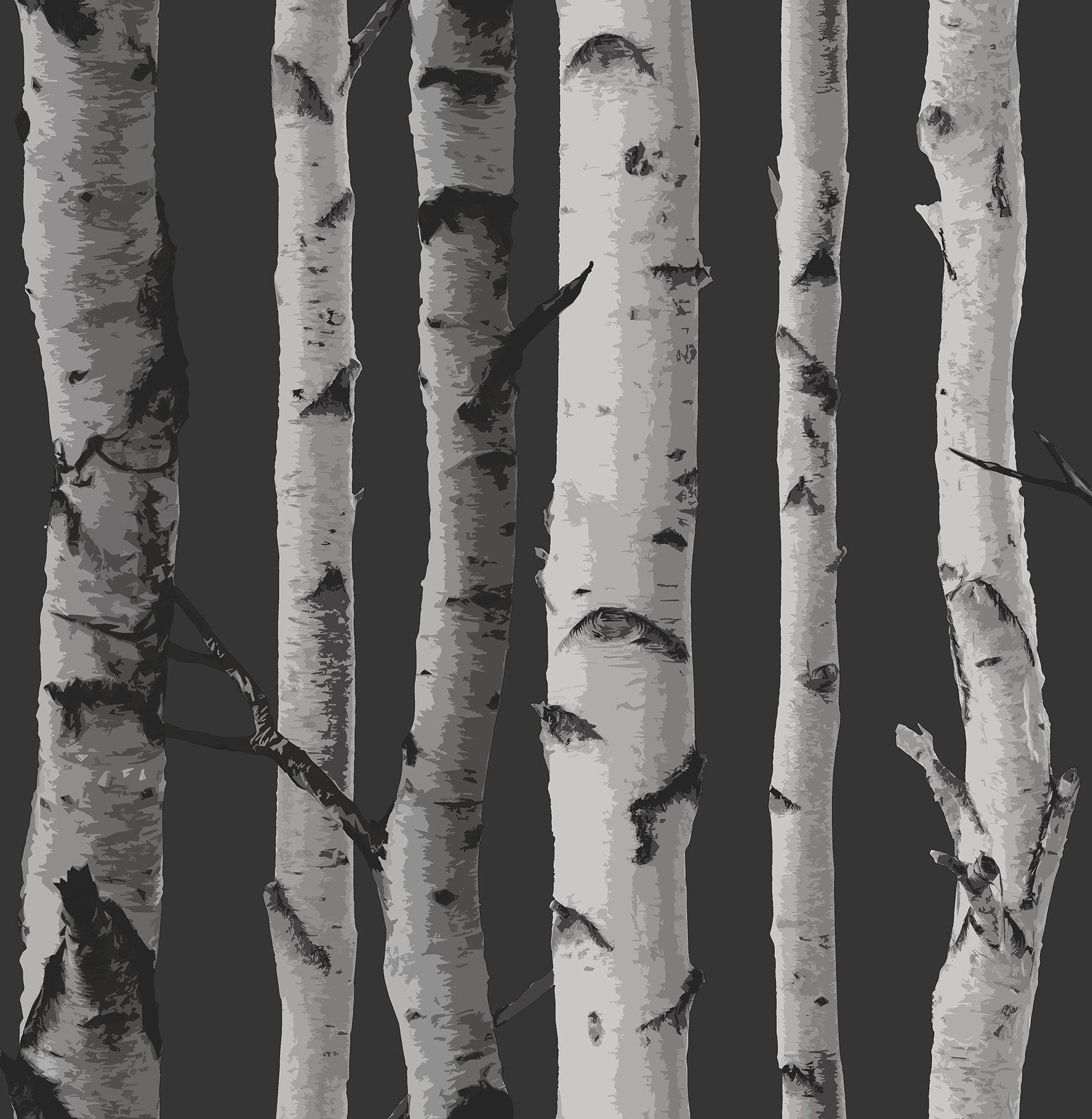 1760x1800 Aspen Tree Wallpaper, Phone