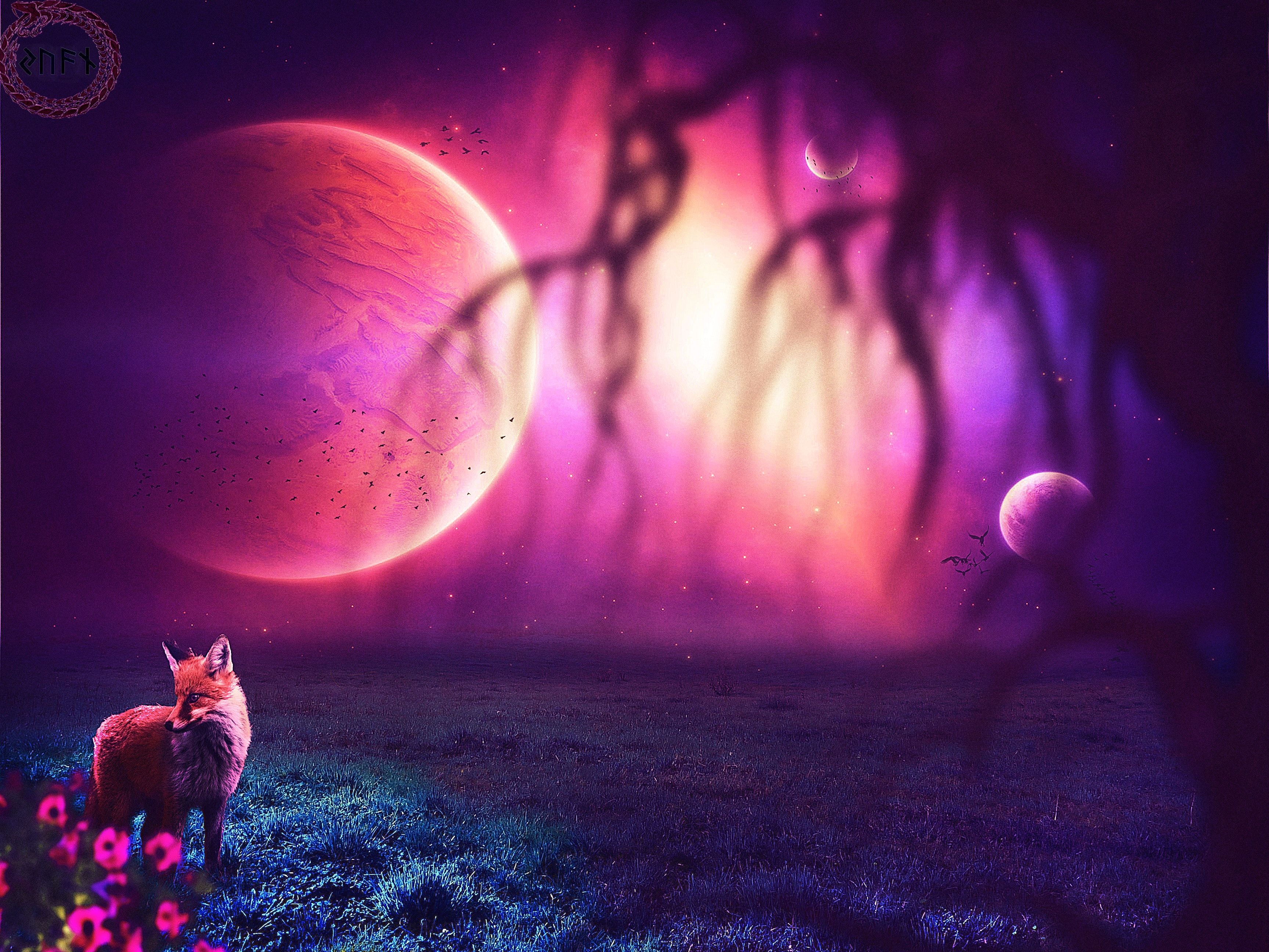 3460x2600 Galaxy Fox Wallpaper Free Galaxy Fox Background, Desktop