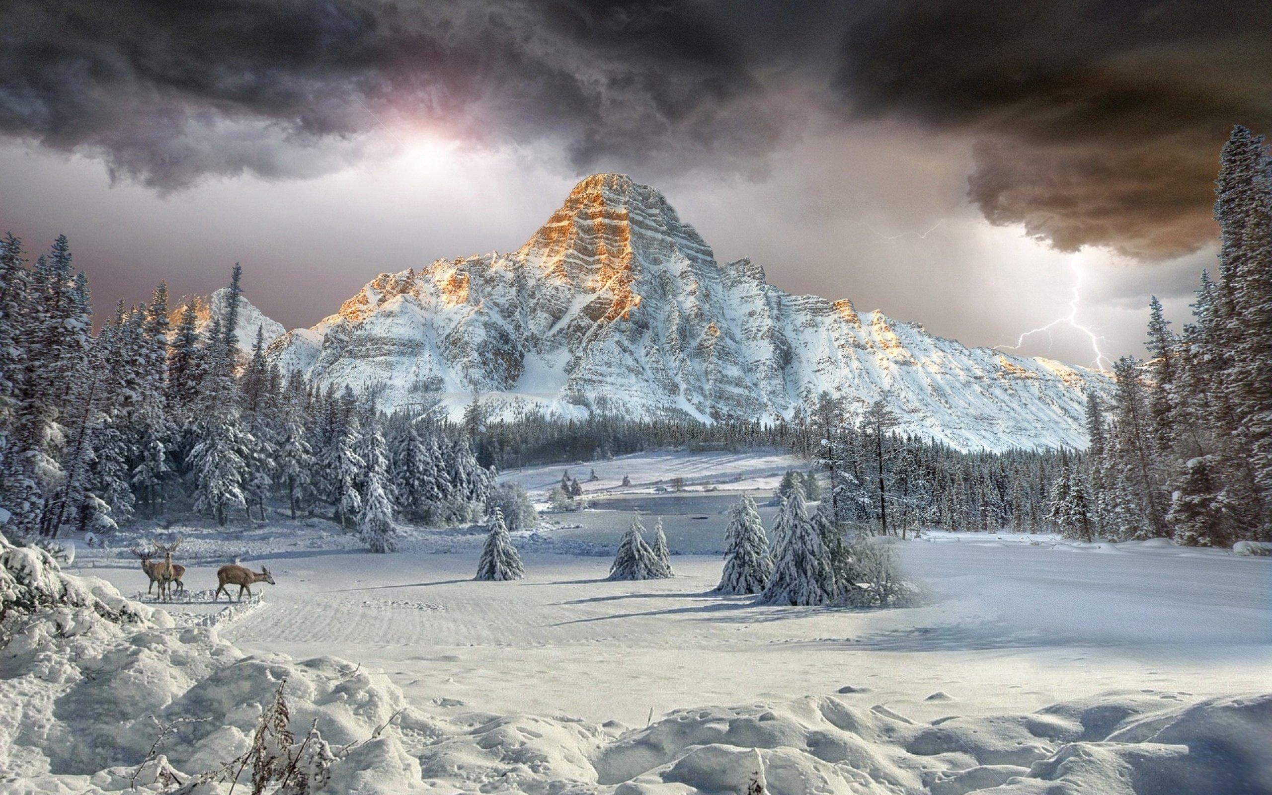 2560x1600 WallpaperMISC Rockies HD Wallpaper 12 X 1600 Free, Desktop