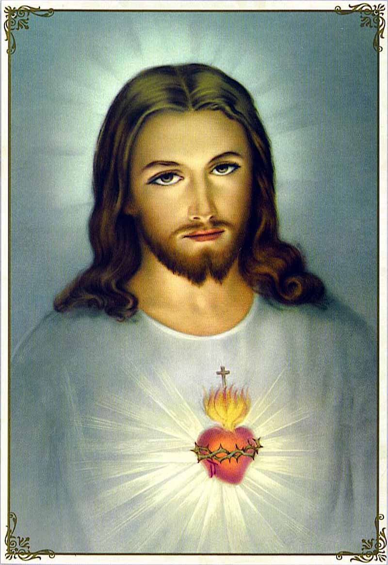 800x1170 The Sacred Heart of Jesus's Catholic, Phone