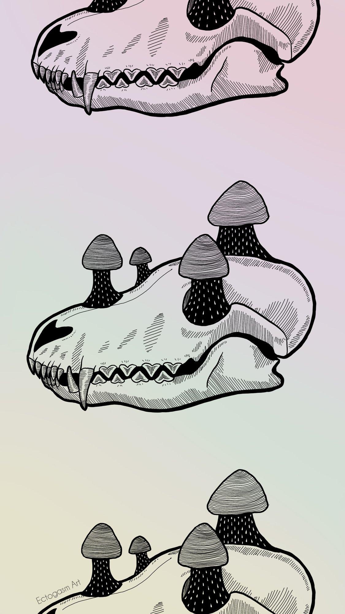 1130x2000 Fox Skull & Mushrooms Phone Wallpaper Download, Phone