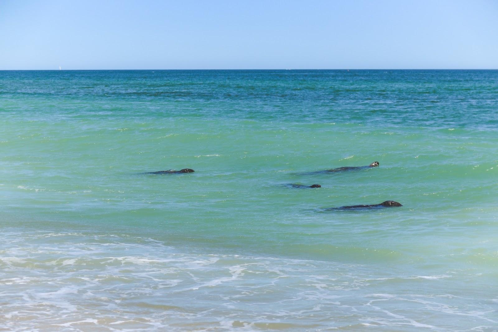 1600x1070 The Natural Beauty of the Cape Cod National Seashore. The Journey, Desktop