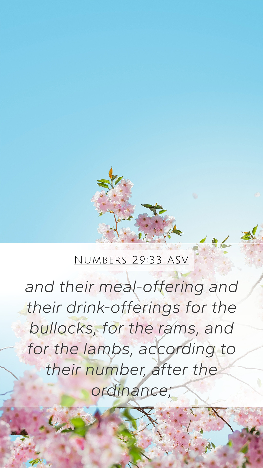 1080x1920 Numbers 29:33 ASV Mobile Phone Wallpaper Their Meal Offering And Their Drink Offerings, Phone