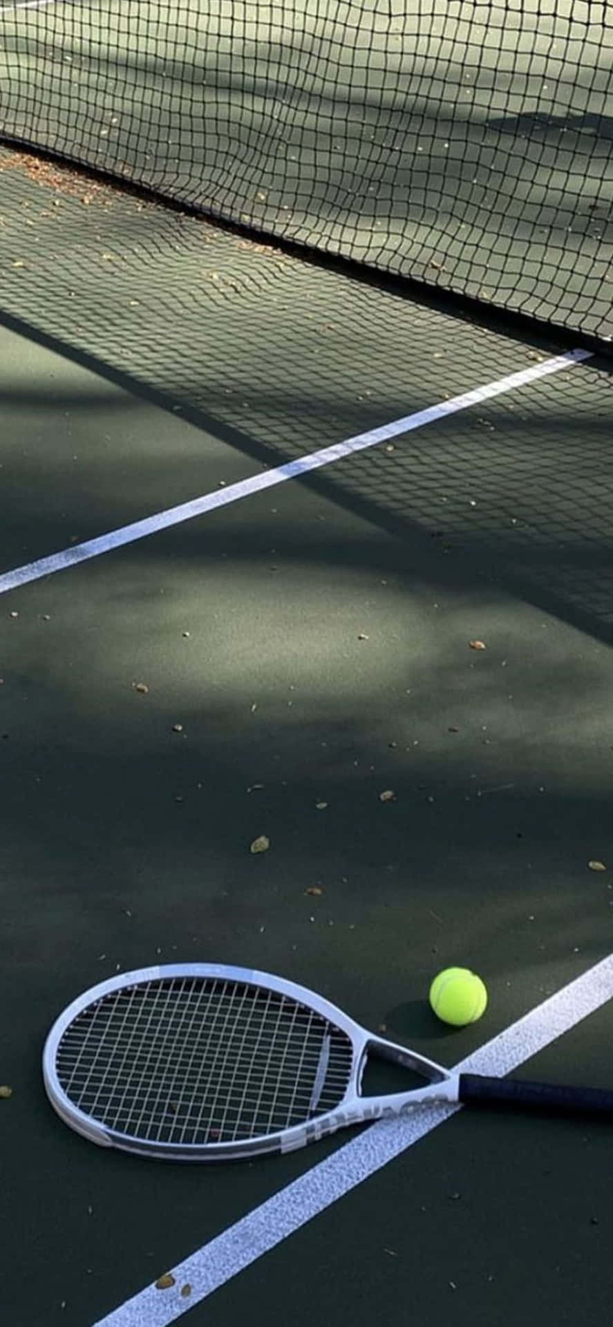 890x1920 Download iPhone Xs Tennis Background, Phone