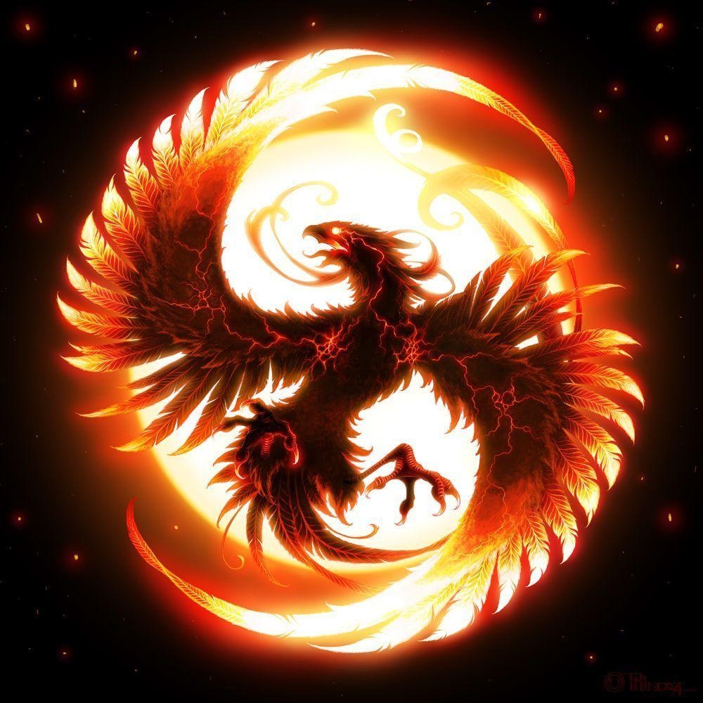 1000x1000 Phoenix Bird Picture, Phone