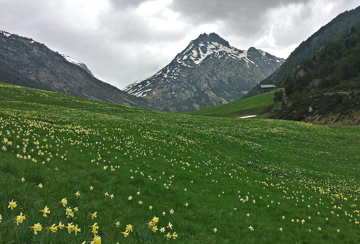 1200x820 Andorra and landmarks, Desktop