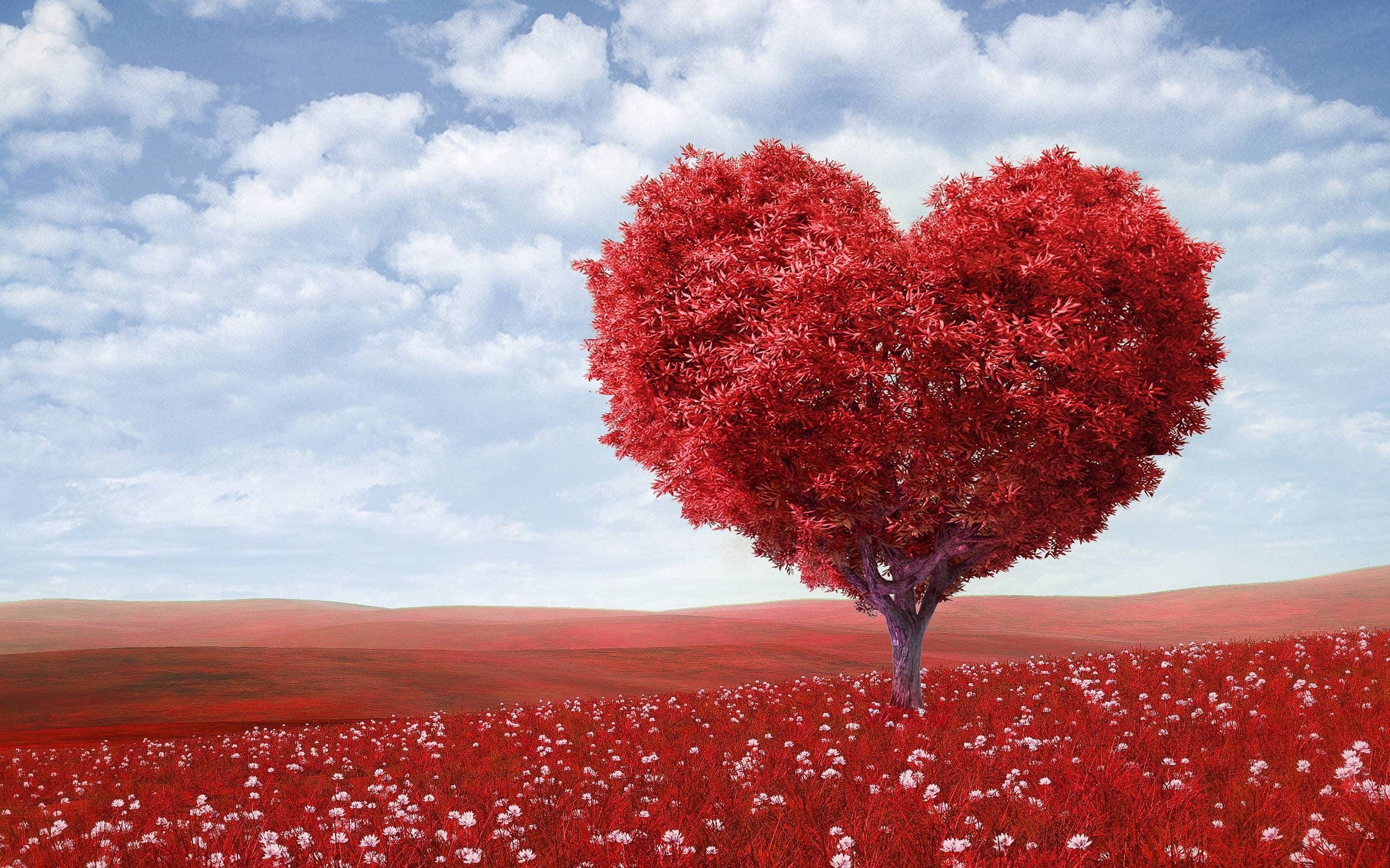 2880x1800 Love Wallpaper And Picture For Valentine Day, Desktop