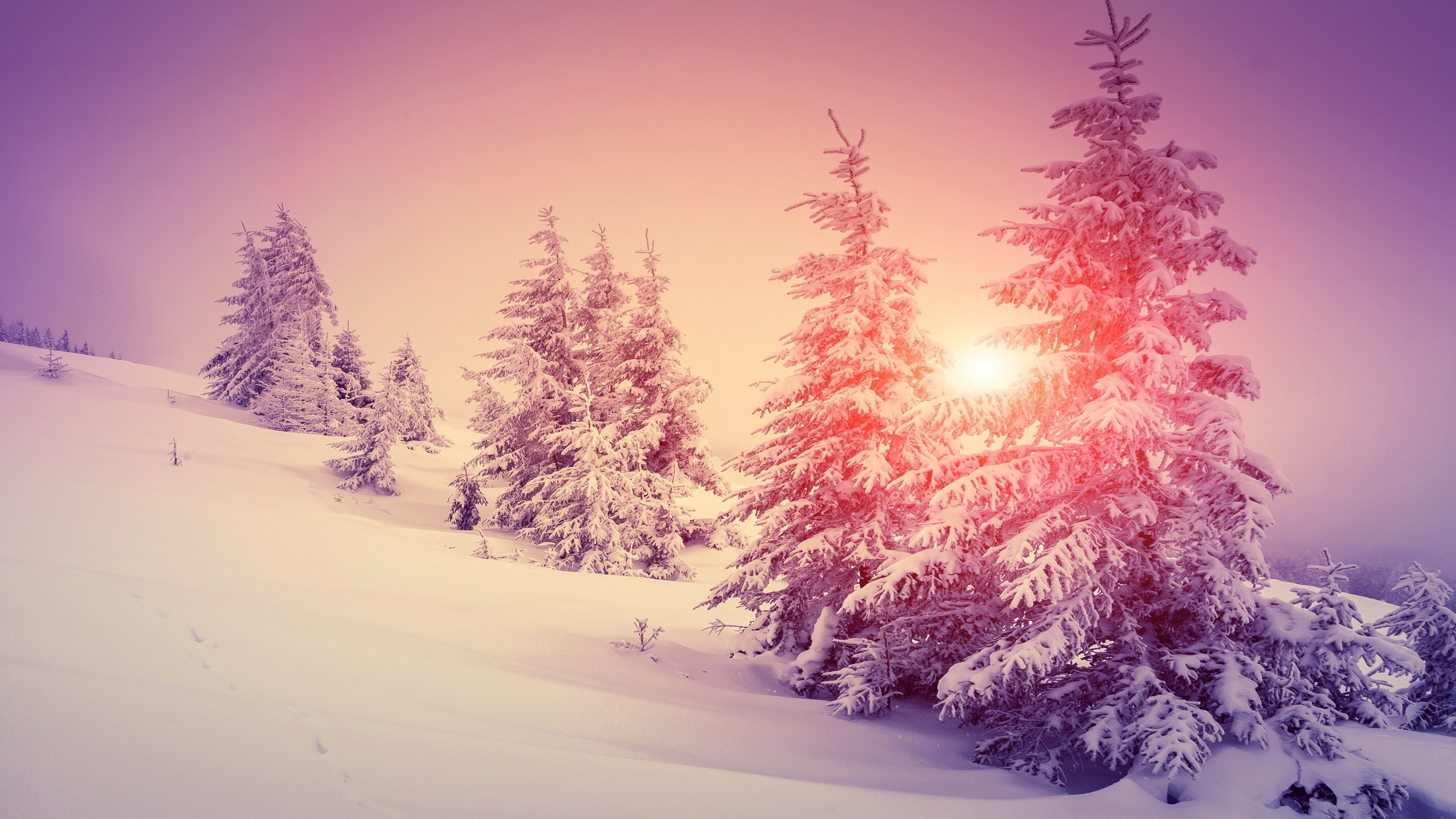 3840x2160 Warm Winter Wallpaper, Desktop