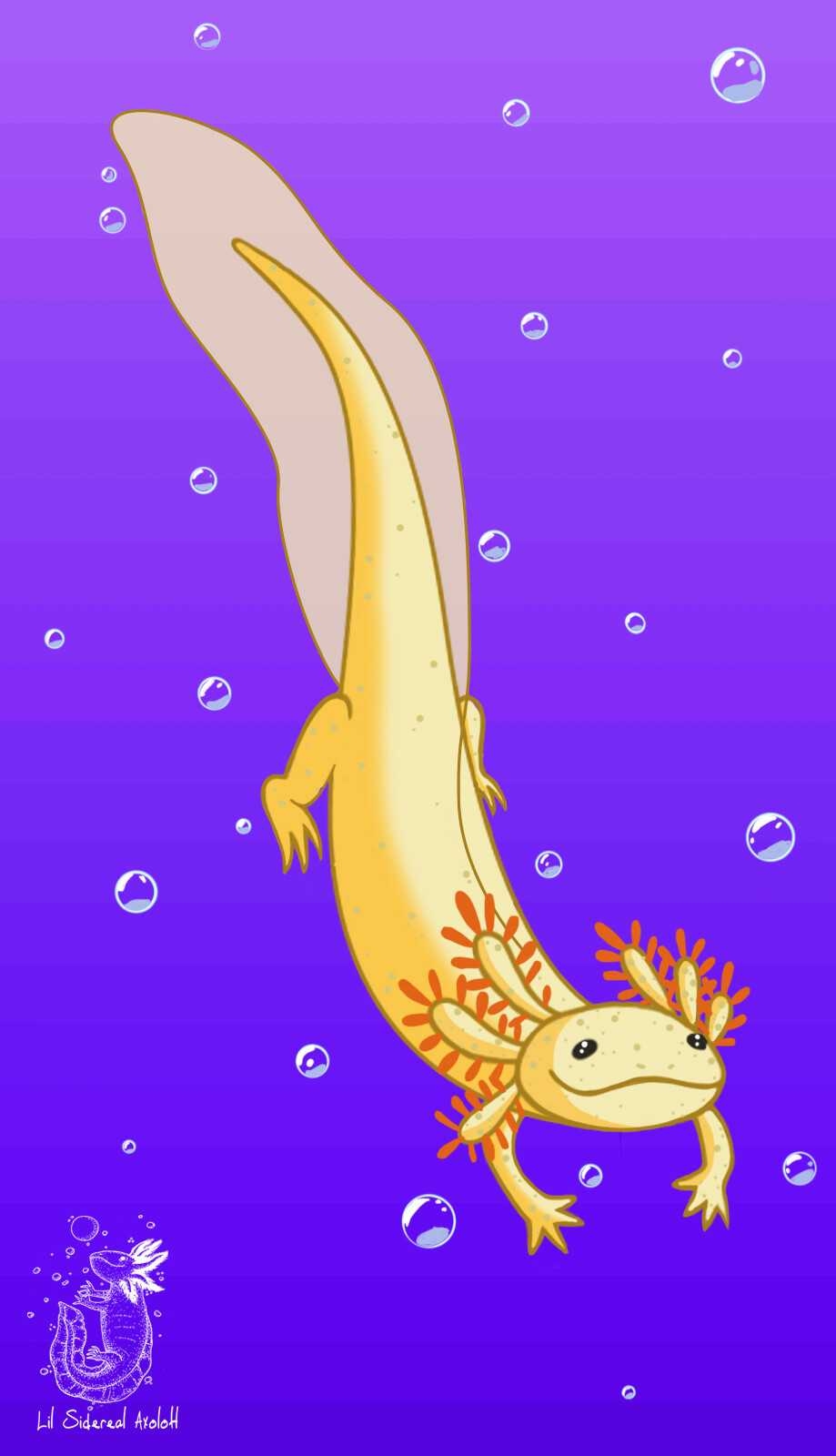 920x1600 Free download 4K Axolotl Wallpaper WhatsPaper [] for your Desktop, Mobile & Tablet. Explore Black Axolotl Wallpaper. Black on Black Wallpaper, Black Background, NCT Black On Black Wallpaper, Phone