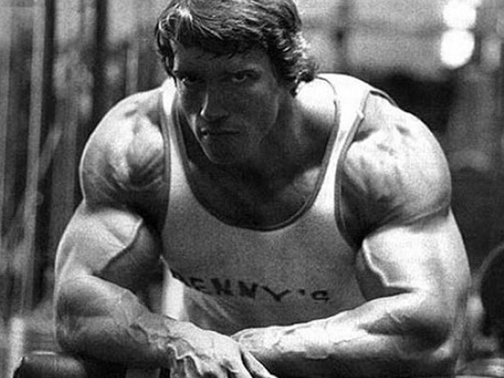 1030x770 Arnold_schwarzenegger_bodybuilding_wallpaper Normal. Fitness, Desktop