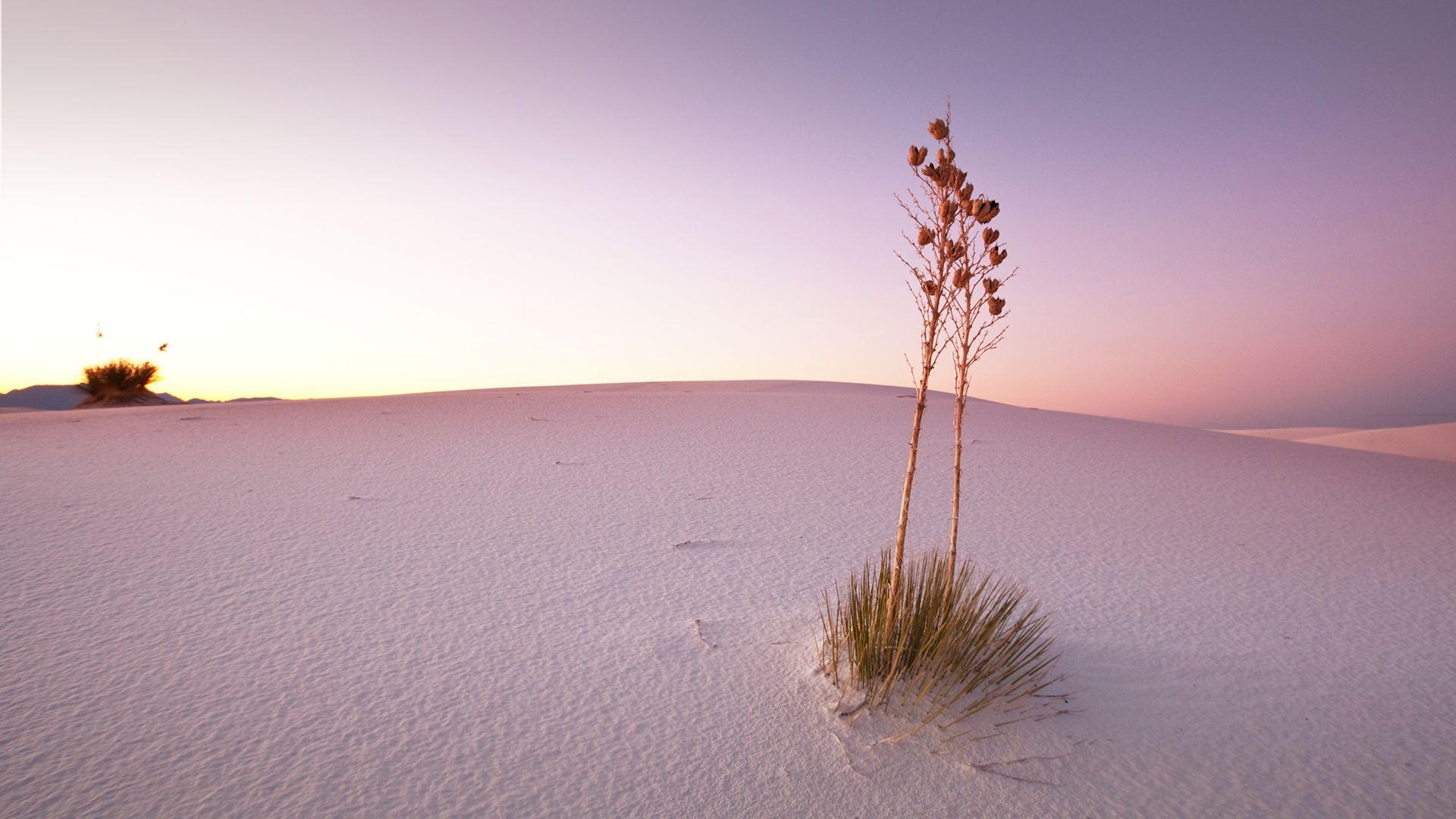 1920x1080 White Sands National Monument, New Mexico, USA. Windows 10, Desktop