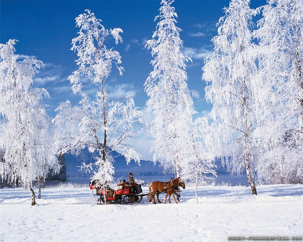 1280x1030 Winter Scenes wallpaper, Desktop