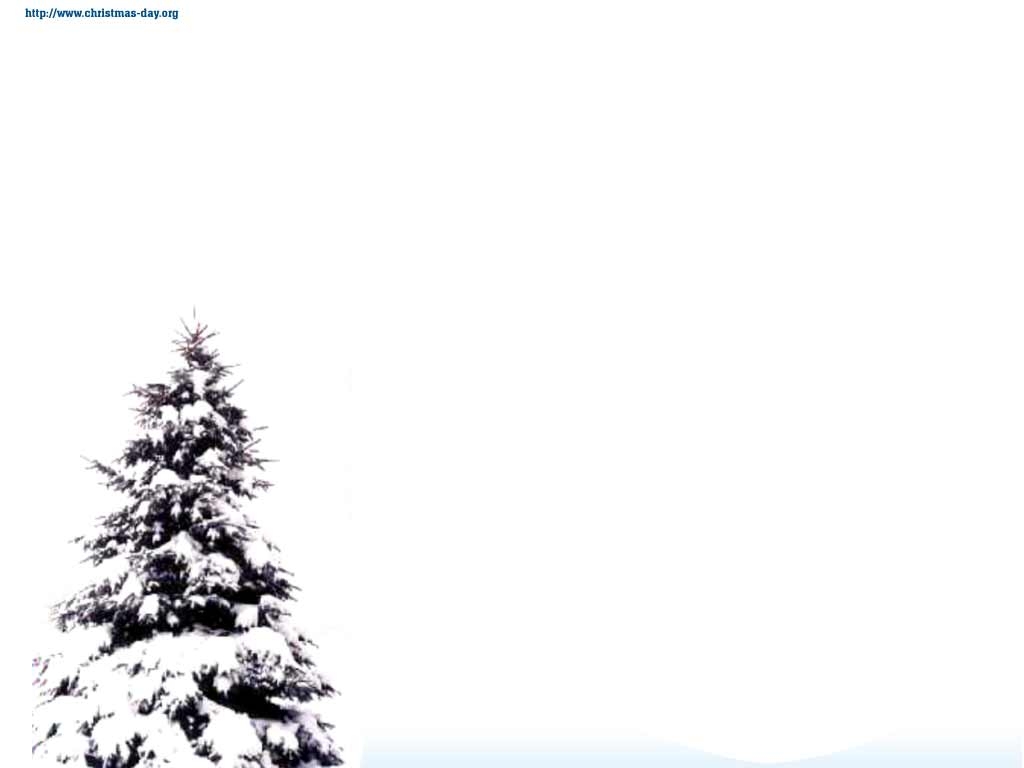 1030x770 White christmas tree wallpaper, Desktop