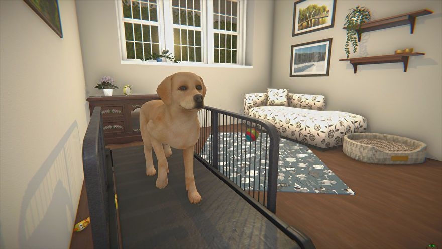 880x500 For some reason House Flipper is getting a pets DLC. Rock Paper Shotgun, Desktop