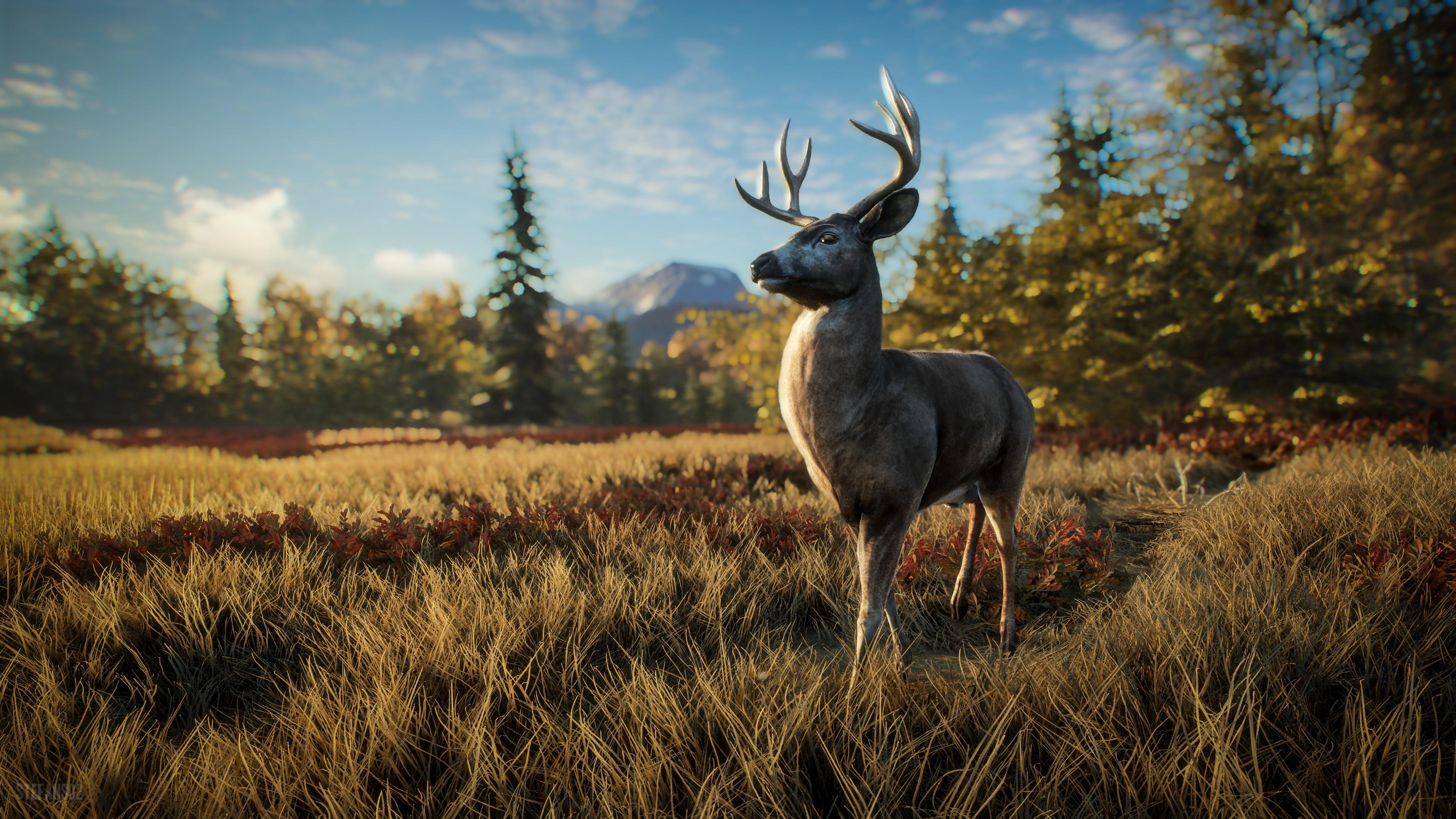 3840x2160 TheHunter: Call of the Wild / David the Deer is Curious 4k Ultra HD Wallpaper, Desktop