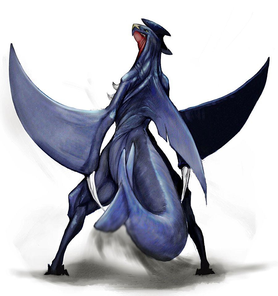 900x960 Garchompémon Anime Image Board, Phone