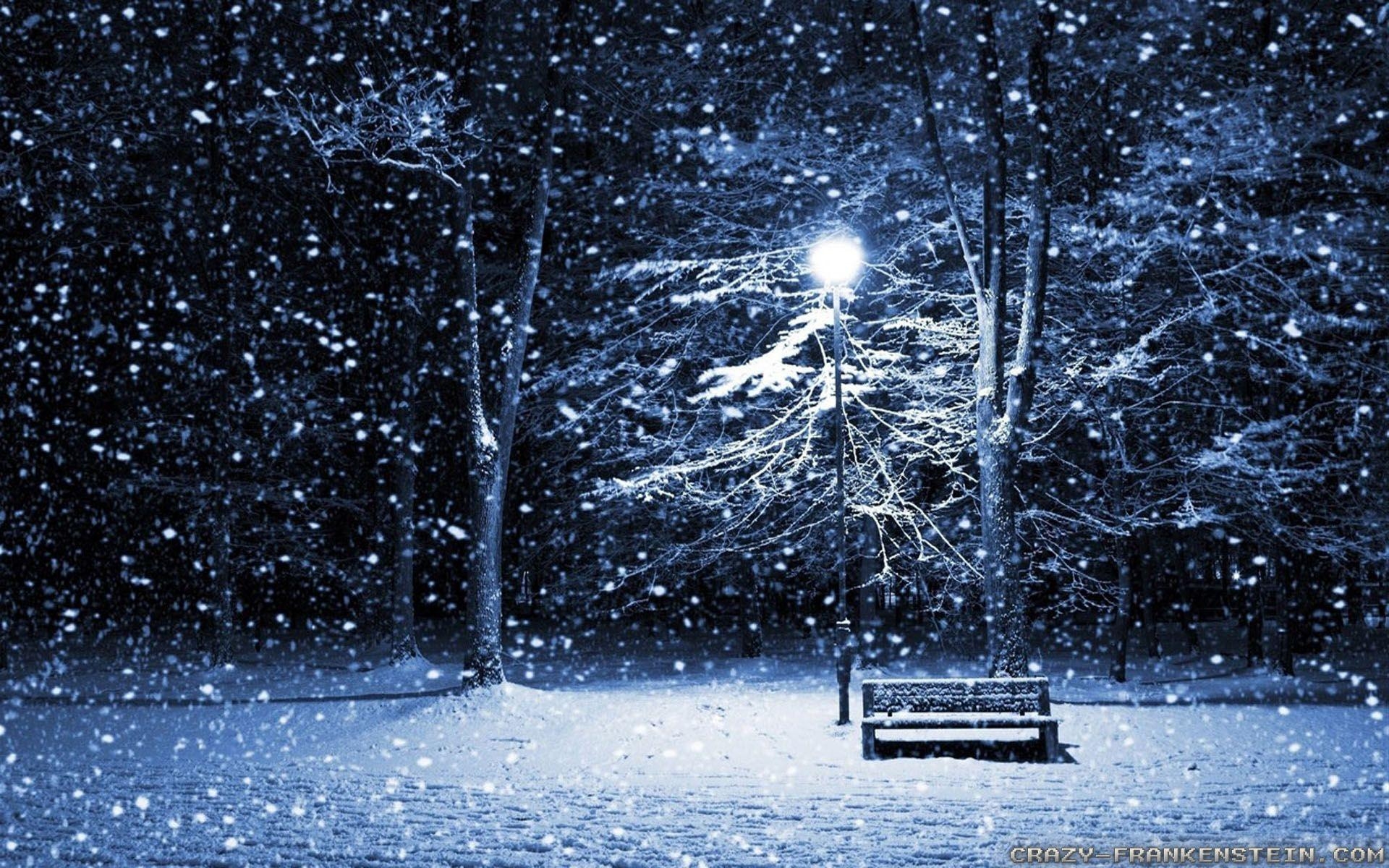 1920x1200 Winter Night wallpaper, Desktop