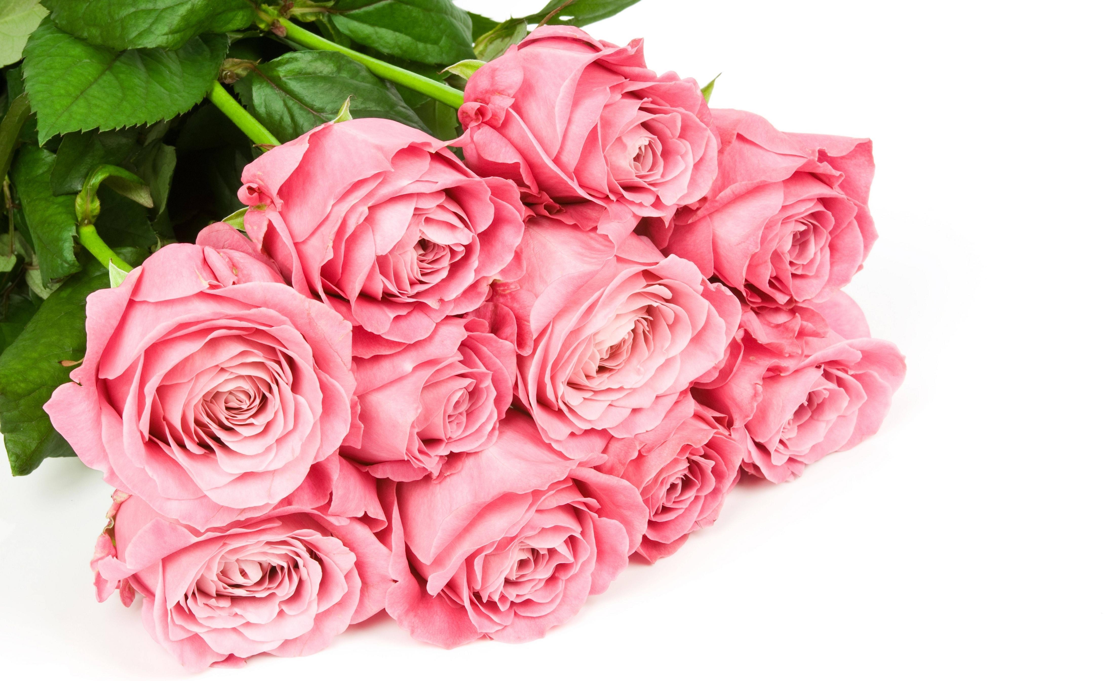 4380x2690 Bunch Of Pink Roses Wallpaper, Desktop