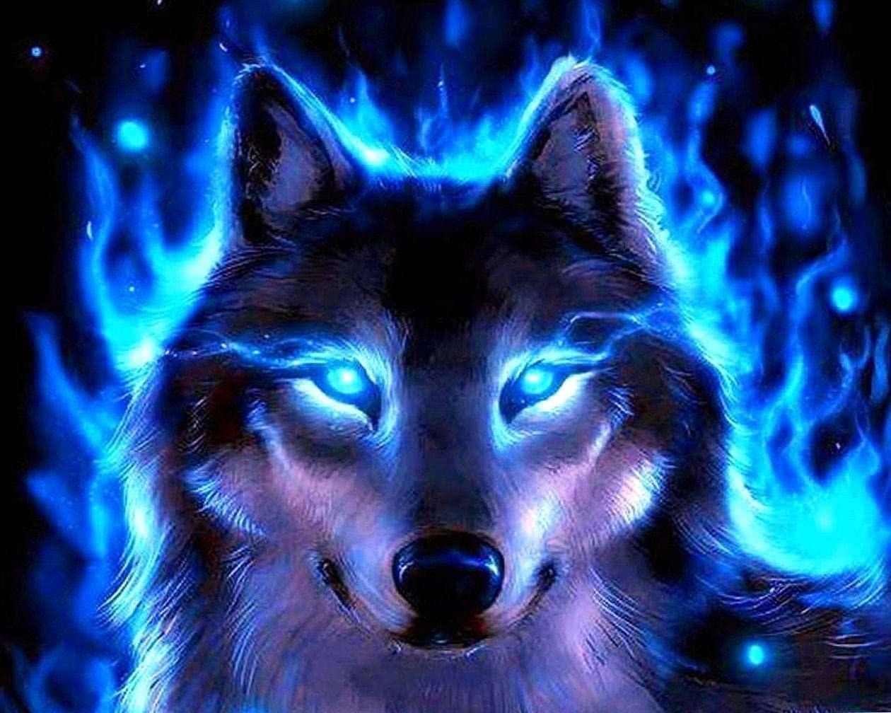 1260x1010 Cool Wallpaper Wolf, Desktop