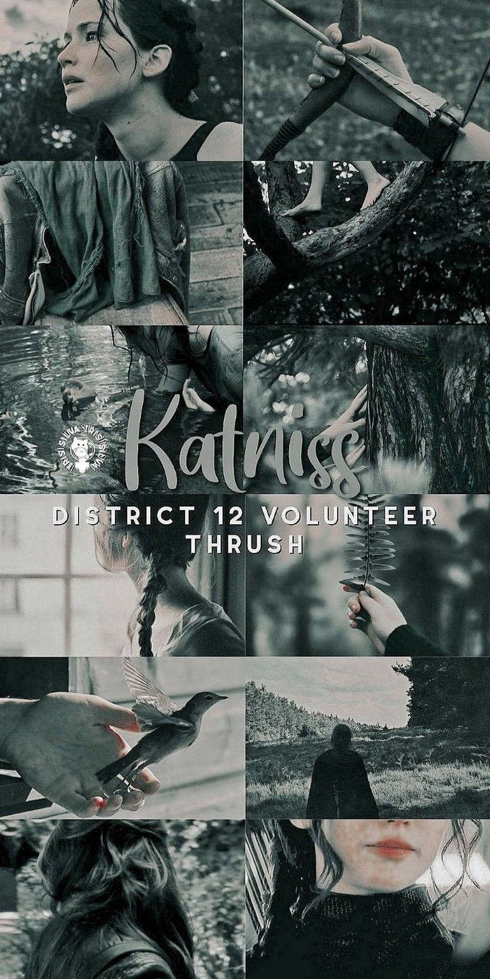 970x1920 Download The Hunger Games Mood Board Wallpaper, Phone