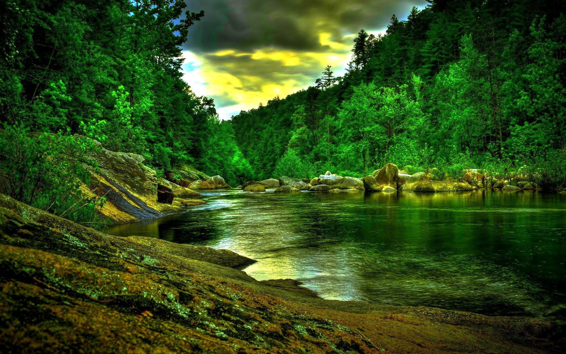 1920x1200 Jungle River Wallpaper, Full HD 1080p, Best HD Jungle River, Desktop