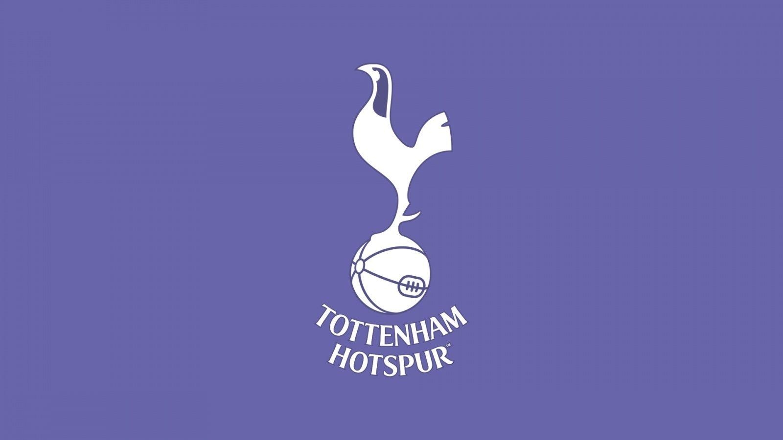 1600x900 Tottenham Hotspur FC Desktop Wallpaper, Desktop